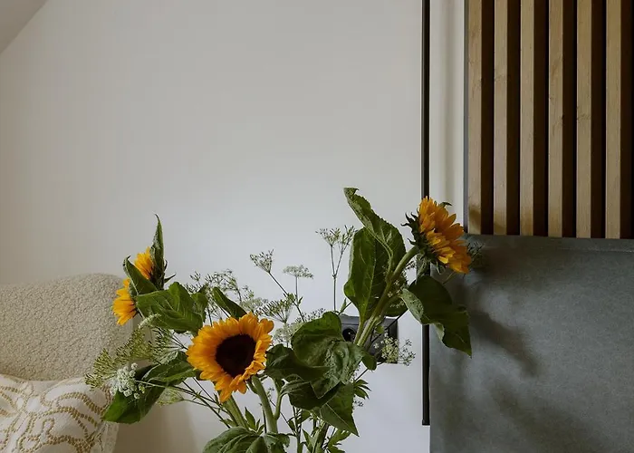 Kaskada & Sauna Na Wylacznosc